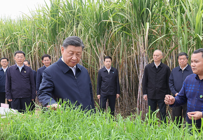 习近平在广西考察时强调 
解放思想创新求变向海图强开放发展 
奋力谱写中国式现代化广西篇章 
蔡奇陪同考察「相关图片」