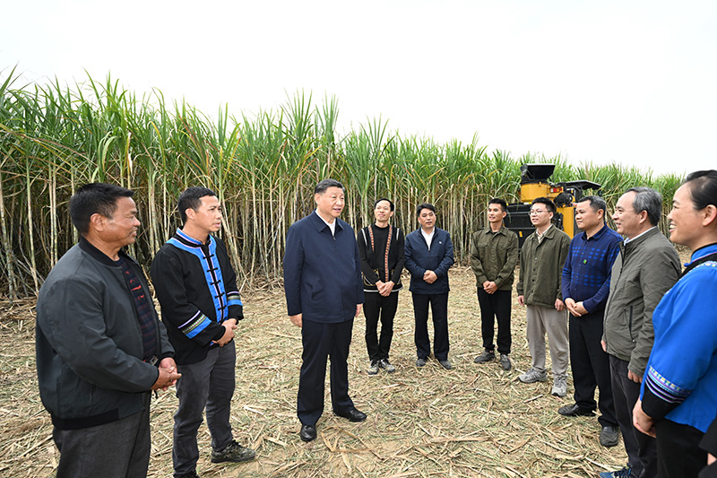 习近平在广西考察时强调 
解放思想创新求变向海图强开放发展 
奋力谱写中国式现代化广西篇章 
蔡奇陪同考察「相关图片」